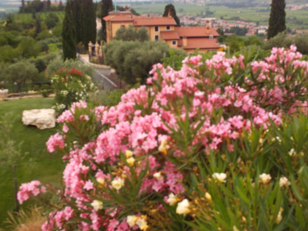 Villa Oleandri ซานเปียโตร อิน กาเรียโน ห้อง รูปภาพ