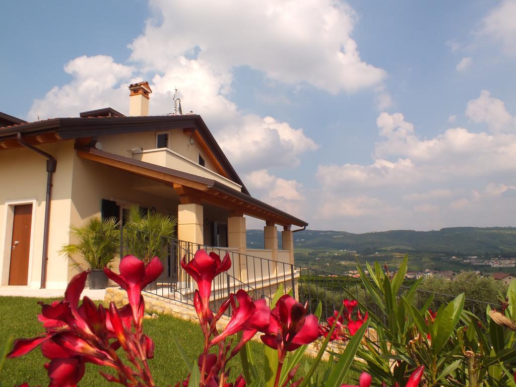Villa Oleandri ซานเปียโตร อิน กาเรียโน ห้อง รูปภาพ